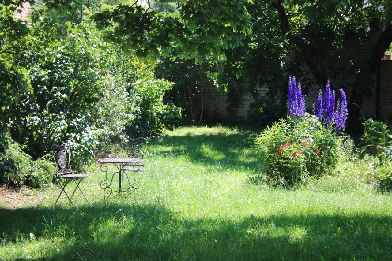 Ferienwohnung Am Weltnaturerbe Grumsin Ziehten ภายนอก รูปภาพ