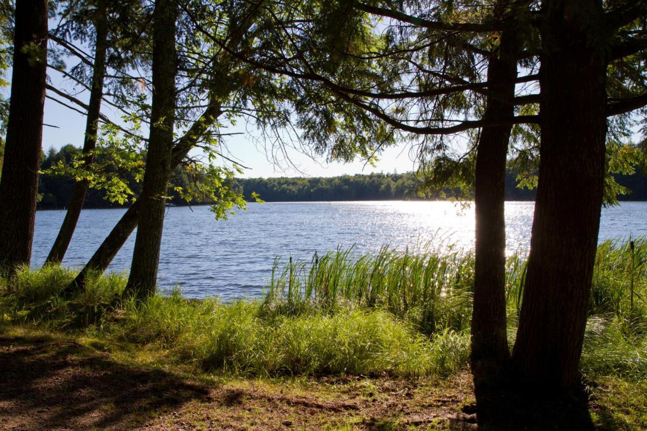 Ferienwohnung Am Weltnaturerbe Grumsin Ziehten ภายนอก รูปภาพ
