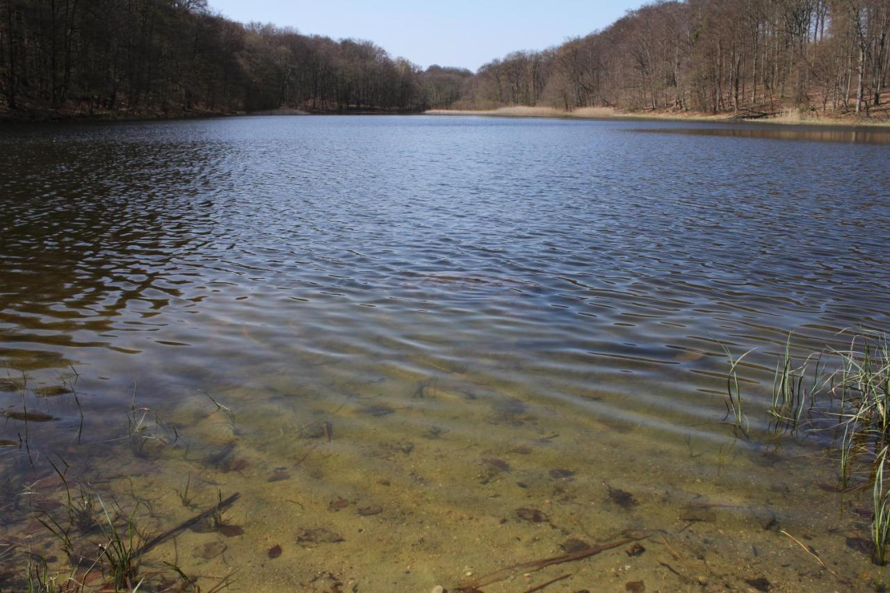 Ferienwohnung Am Weltnaturerbe Grumsin Ziehten ภายนอก รูปภาพ