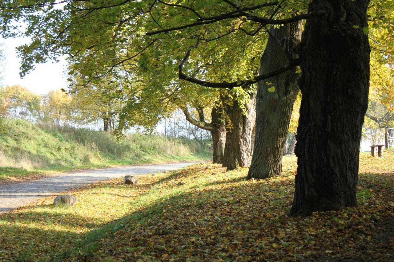 Ferienwohnung Am Weltnaturerbe Grumsin Ziehten ภายนอก รูปภาพ